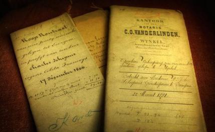 Check If You Understand